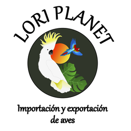 Lori Planet